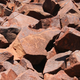 Imagen para el artículo titulado Encuentran la evidencia más temprana de vida en rocas de Australia de hace 3.500 millones de años